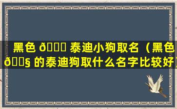 黑色 🍀 泰迪小狗取名（黑色 🐧 的泰迪狗取什么名字比较好）